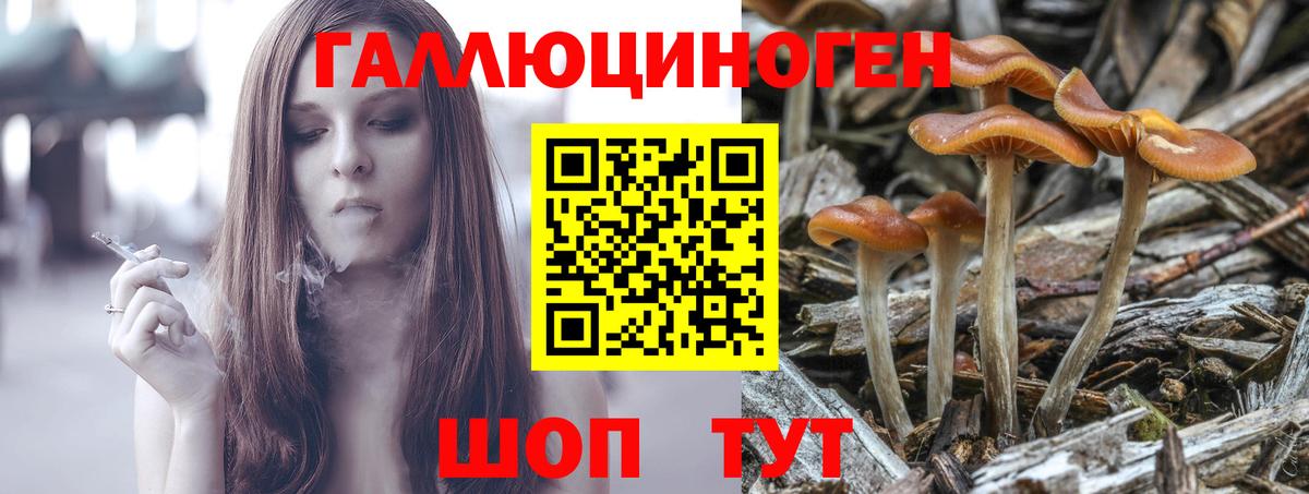 Псилоцибиновые грибы GOLDEN TEACHER Радужный